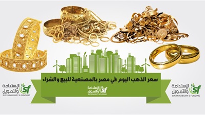 الإستدامة والتمويل Sustainability And Funding المزيد حول سعر